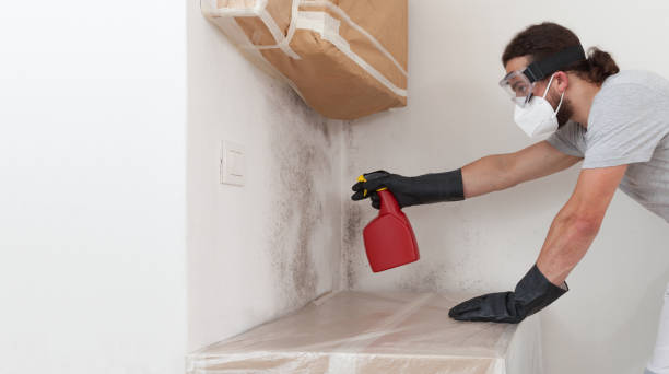 Professional Attic Mold Removal technician working in Bunn, NC